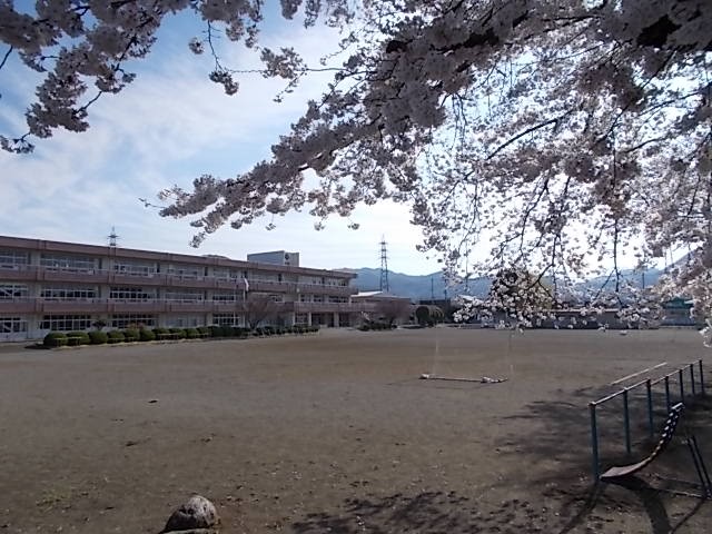 桜と校舎