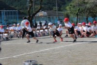 ３年生徒競走の様子