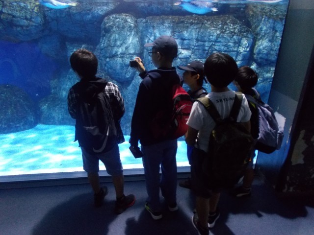 ③シーパラ水族館.JPG