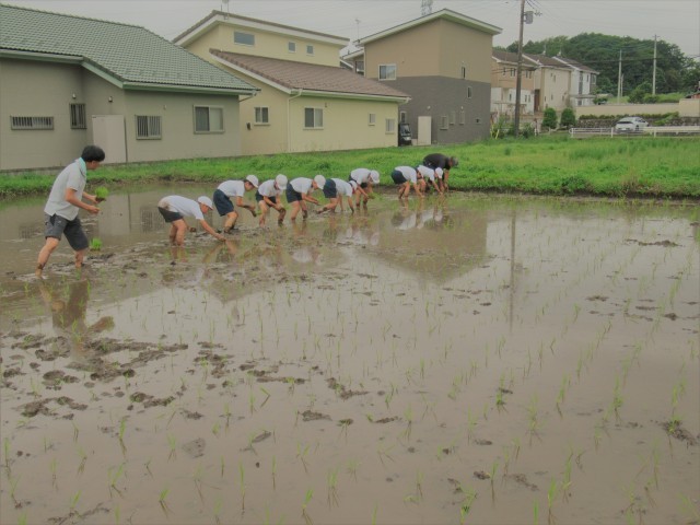 目印に沿って横一列で