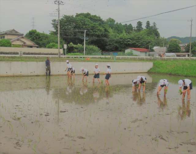 水鏡がきれいですね