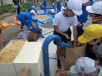 機械にかけ玄米にします