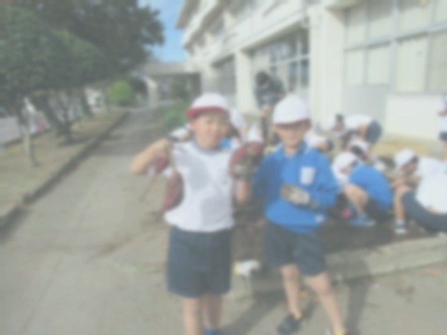 さつまいもを掘りました