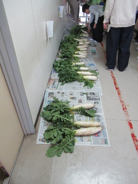 半分以上売れました