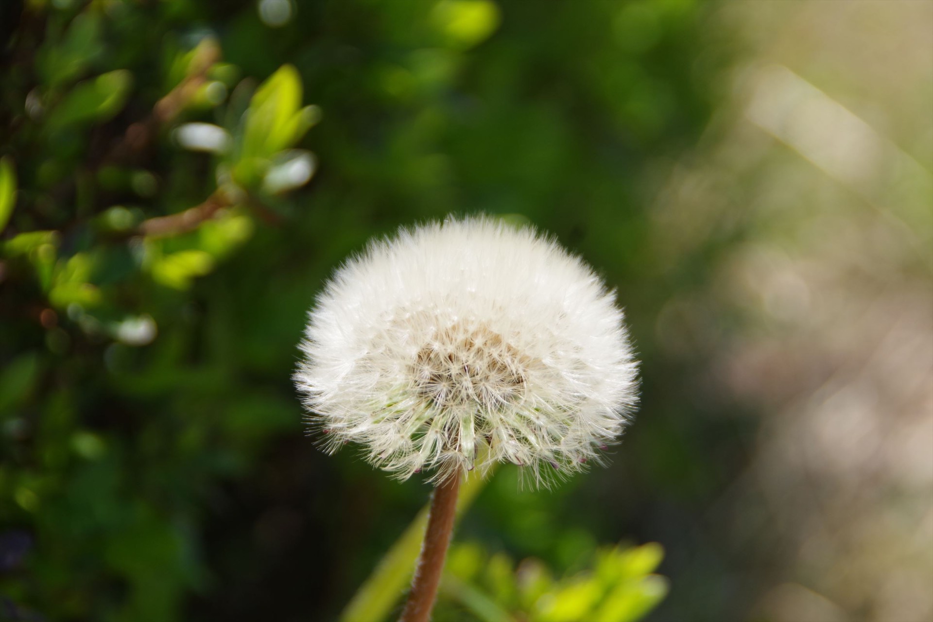 K70_8105_R.JPG