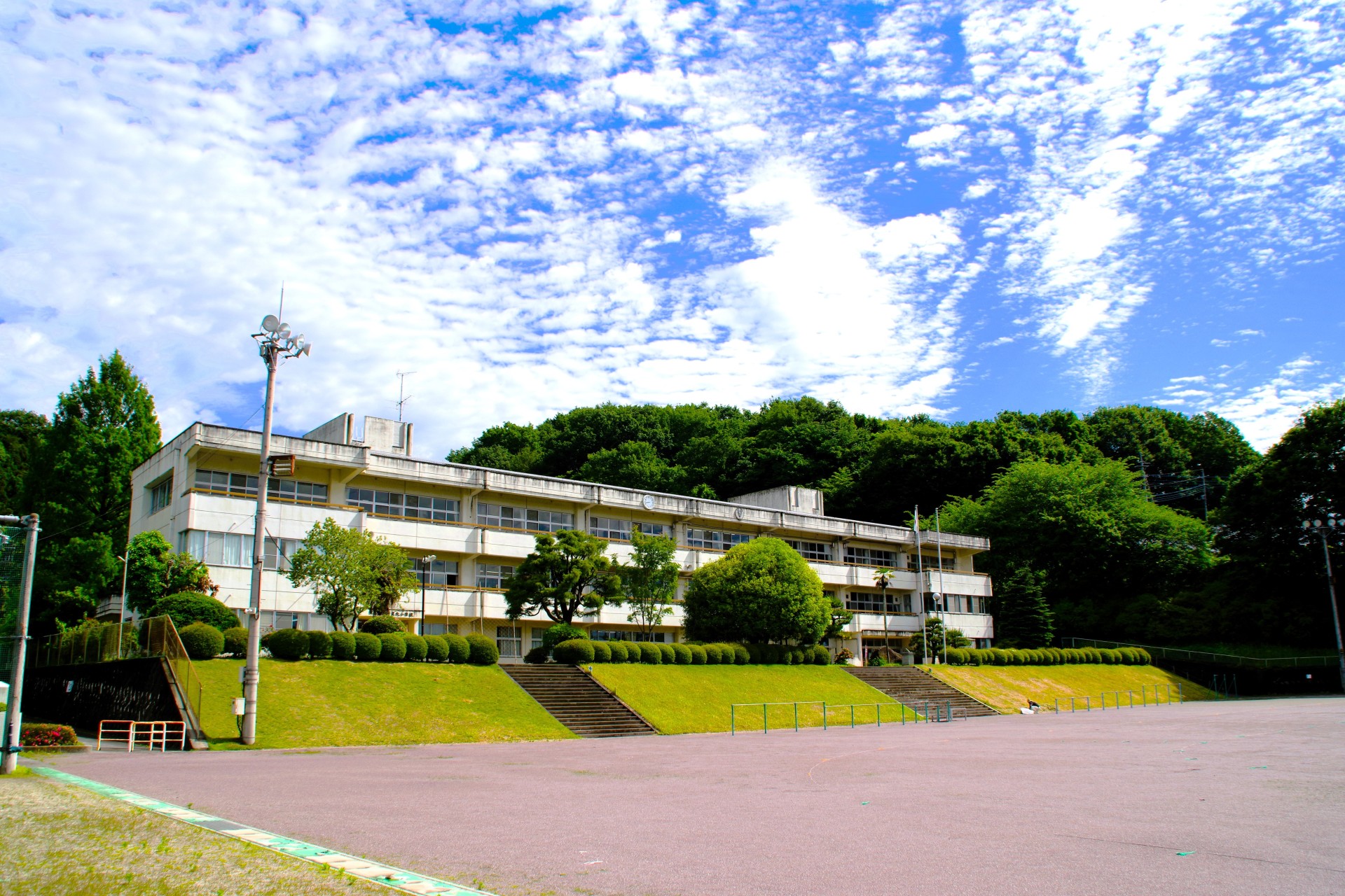 K70_8926b.JPG