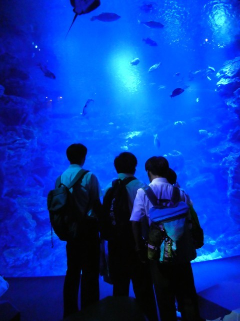 京都水族館