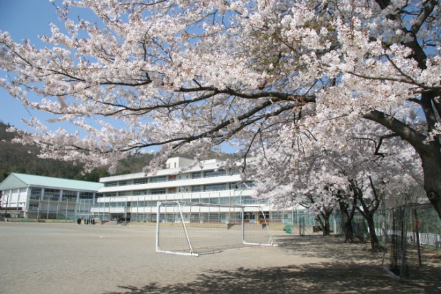 春の川内中学校