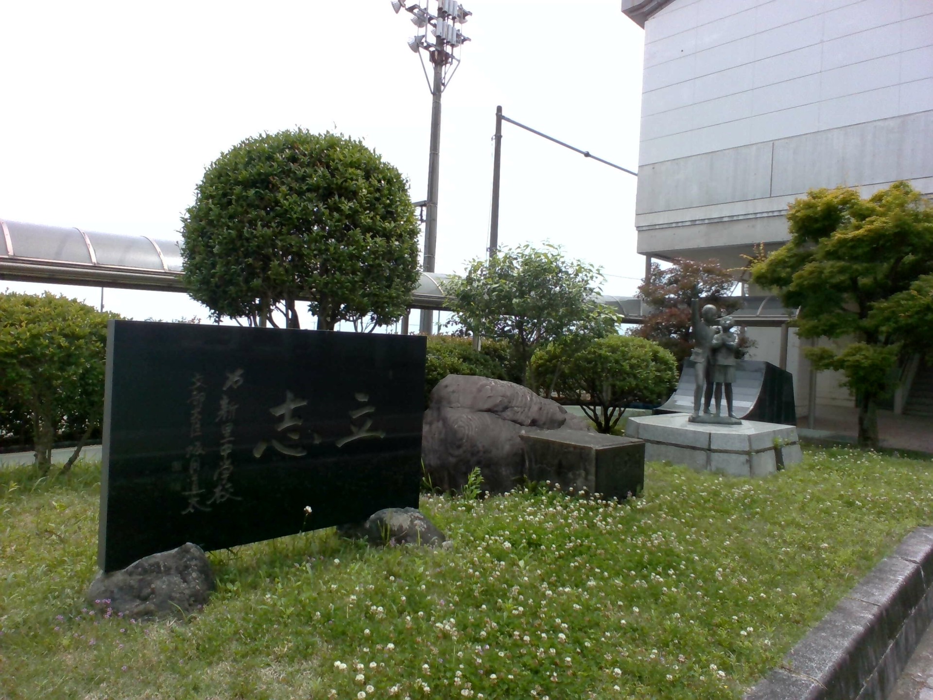 IMG_20250529_125449.jpg
